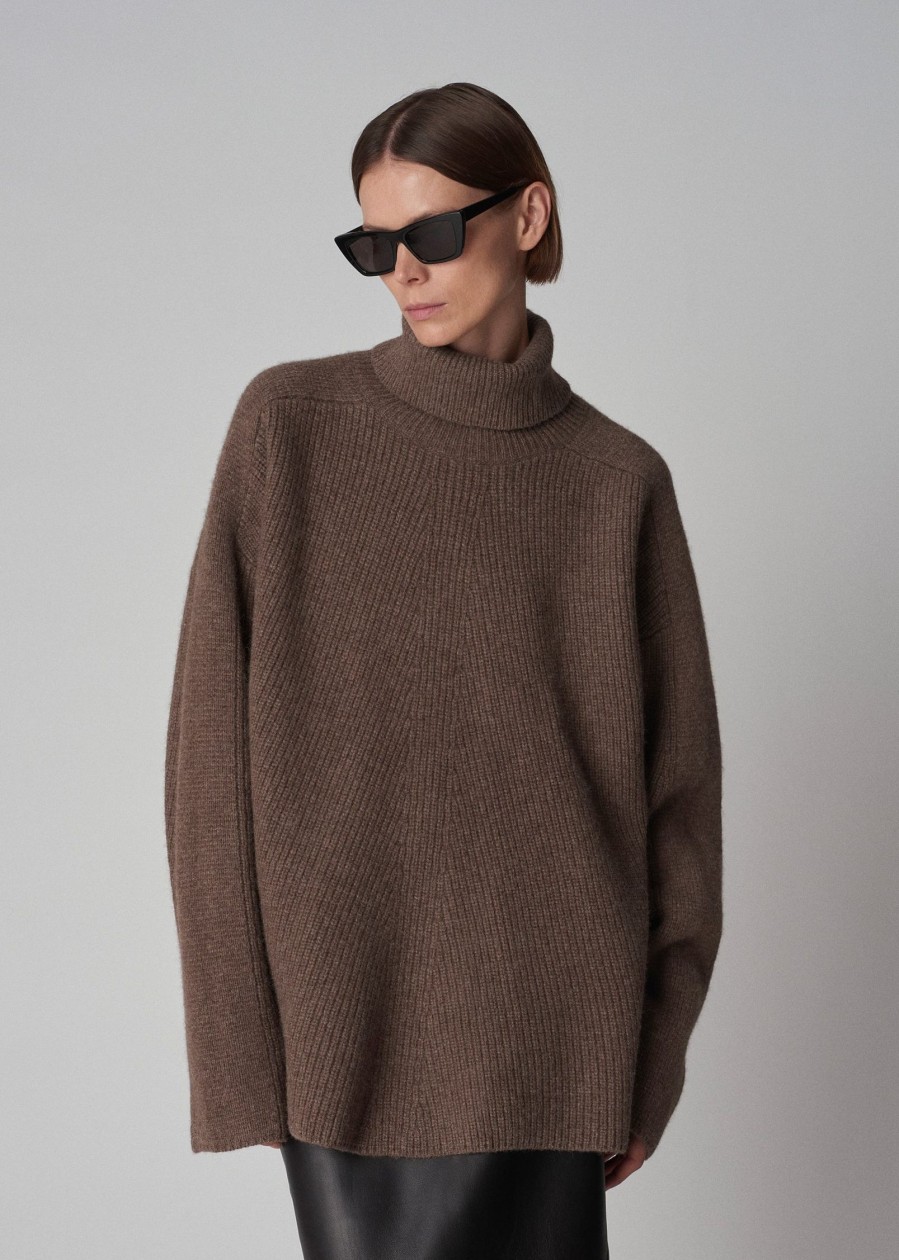 Sweaters & Knits CO | Co Oversized Turtleneck Sweater In Wool Brown